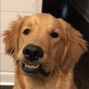 Meet your Posher, Bre